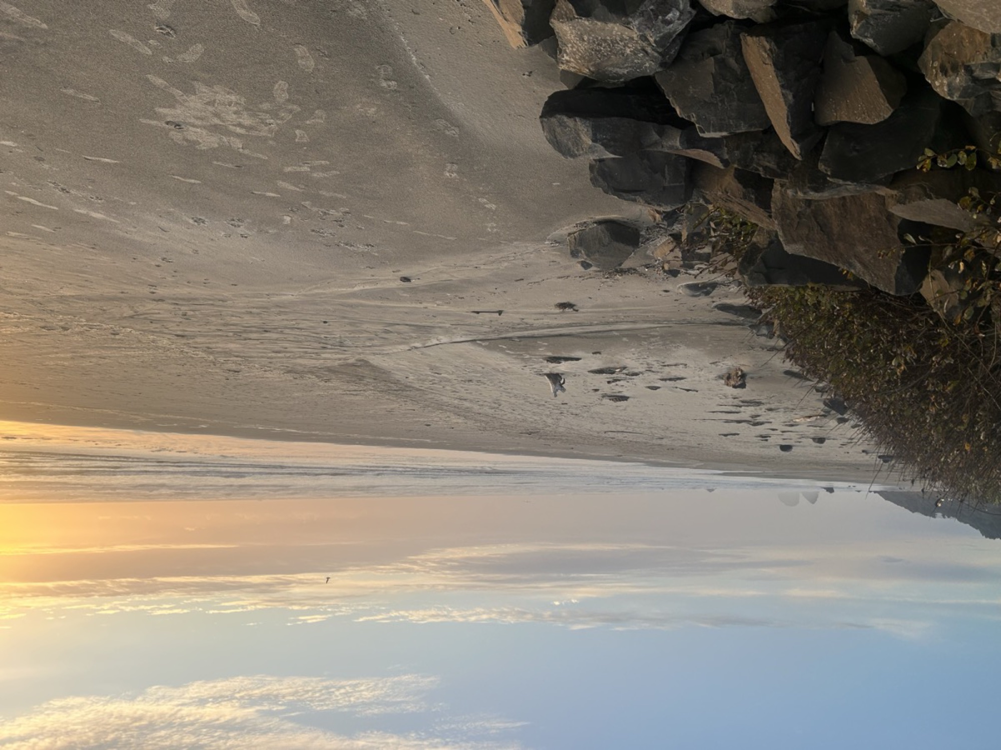 Golden hour basalt