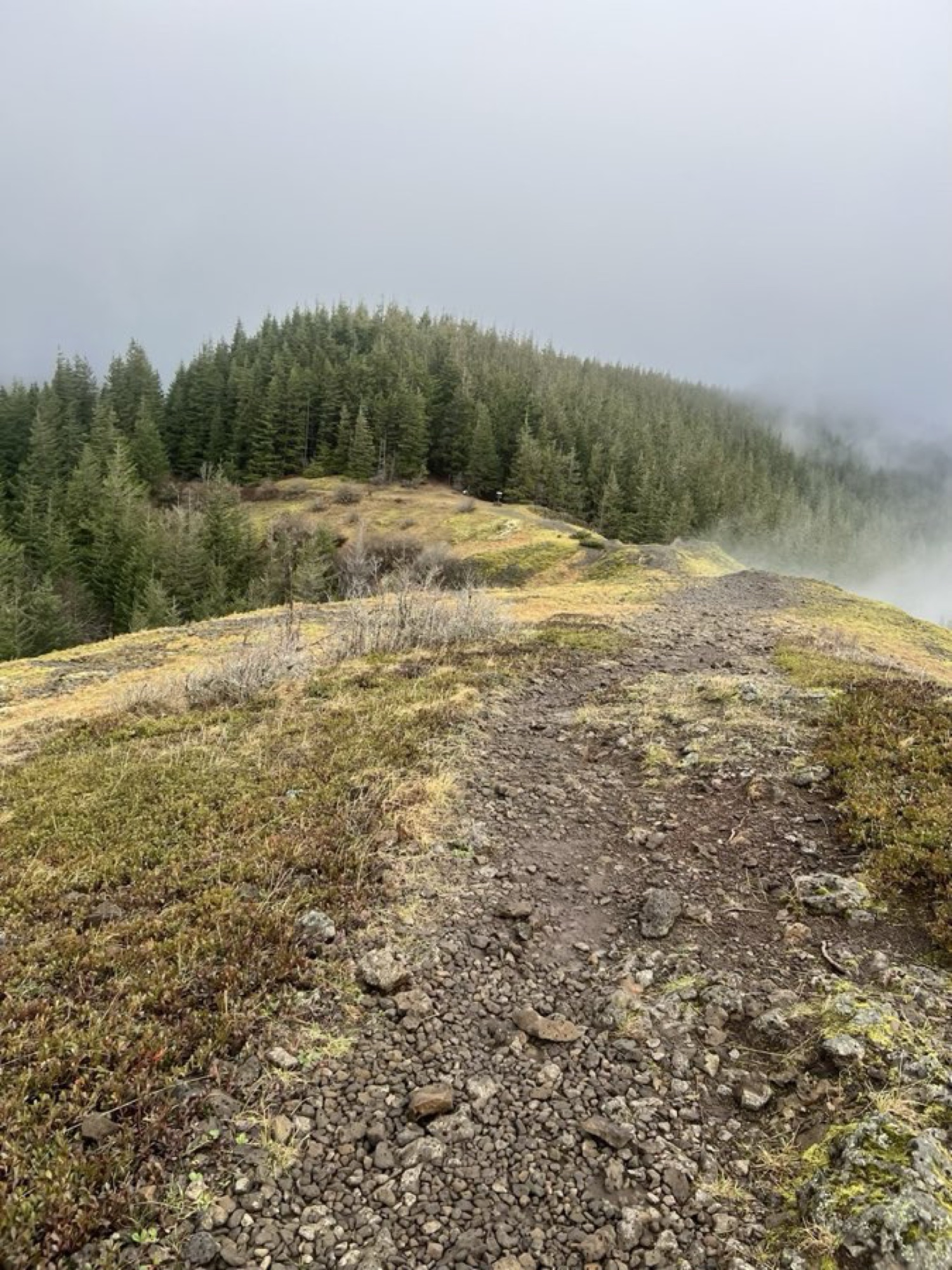 Summit View