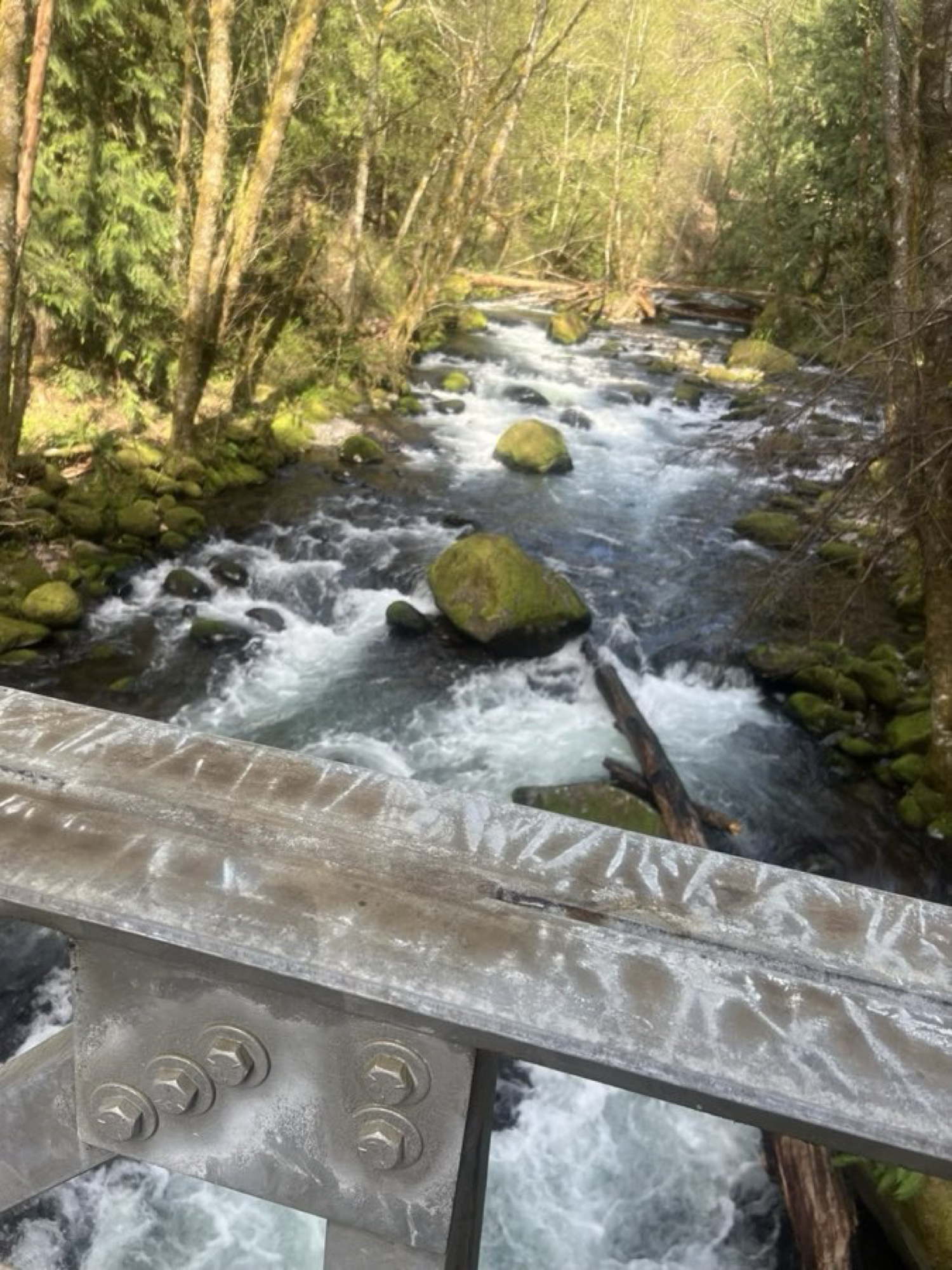 River Shot